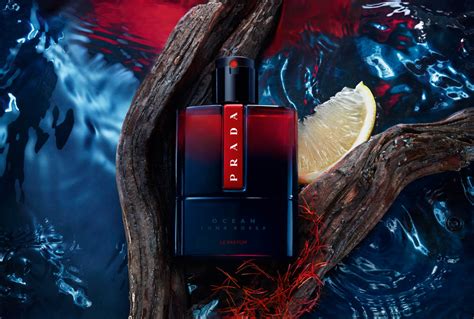 new prada ocean le parfum